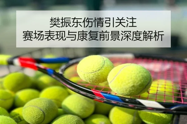 樊振东伤情引关注 赛场表现与康复前景深度解析