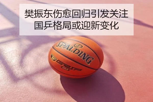 樊振东伤愈回归引发关注 国乒格局或迎新变化